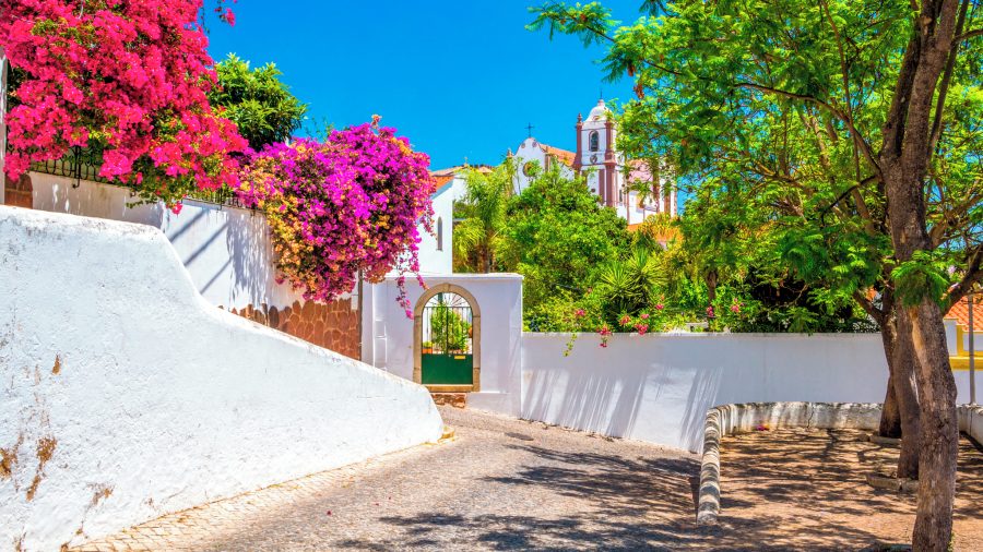 FAO_Silves_Algarve_1126888992_Getty_RGB-136-DPI-For-Web