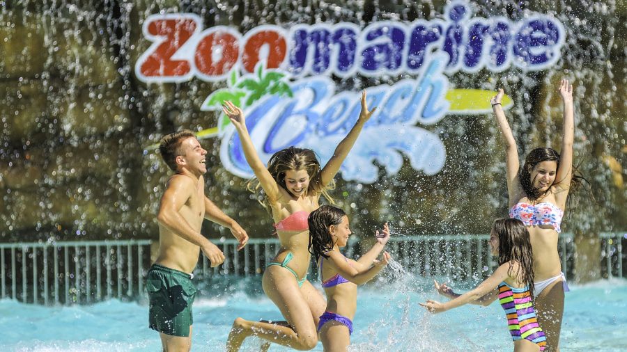 Fao Zoomarine 0416 03
