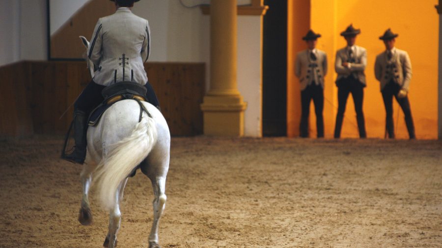 JEREZ271 Escuela Arte Equestre