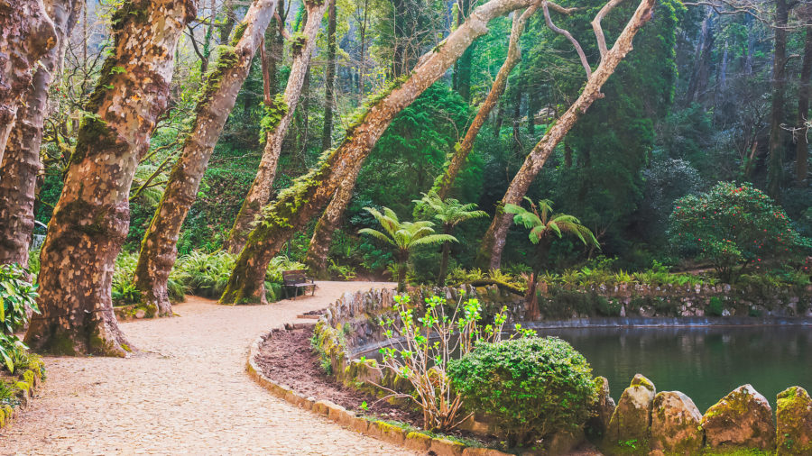 LIS_Palacio_de_Pena_Gardens_Sintra_951451400_Getty_RGB-136-DPI-For-Web