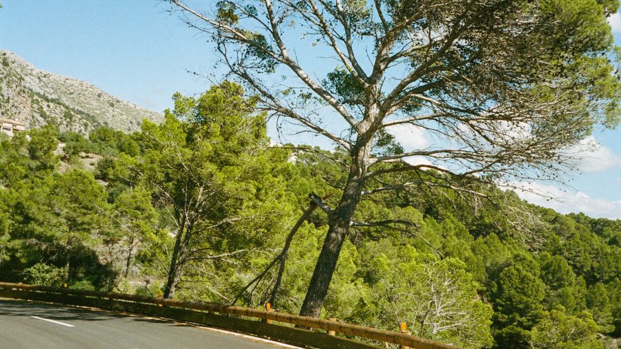 PMI 35 MM Youth Campaign City Explorers Picnic 0925 106 Web