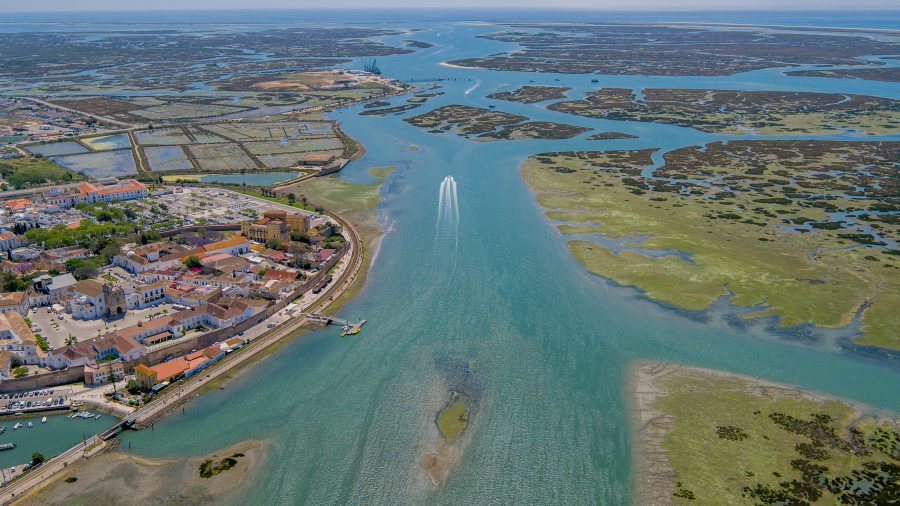 Ria Formosa Faro 7