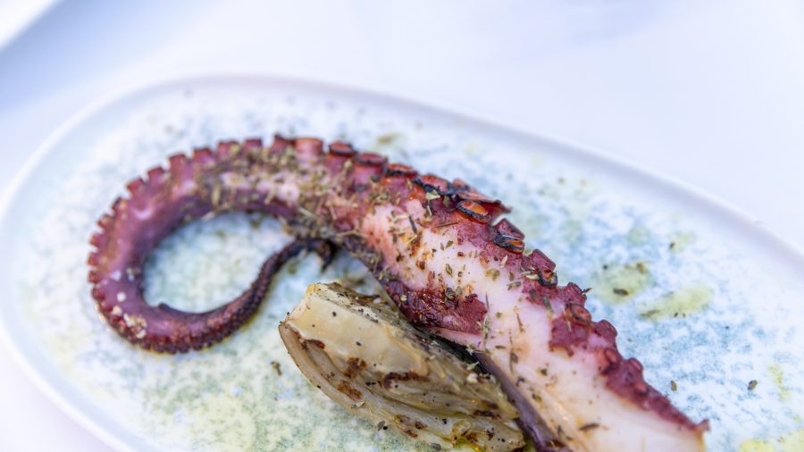SKG Food and Drink 0524 24