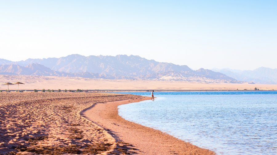 SSH Nabq Bay 1341609884 getty Web