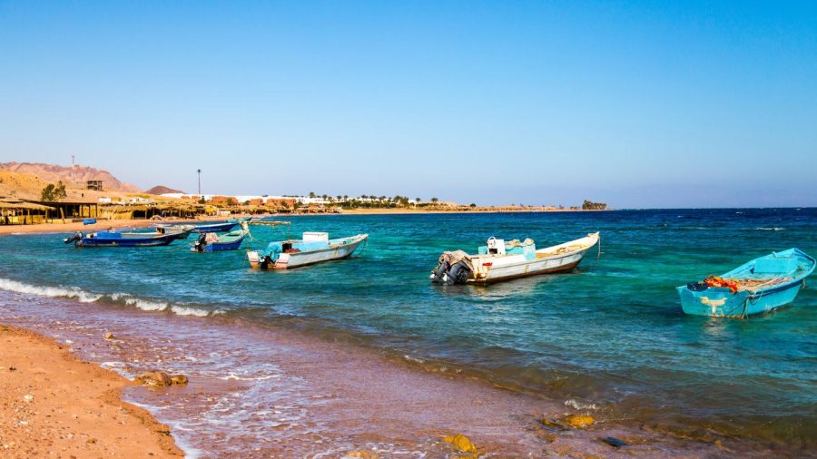 SSH Sharks Bay 1166518732 getty 1280x1280