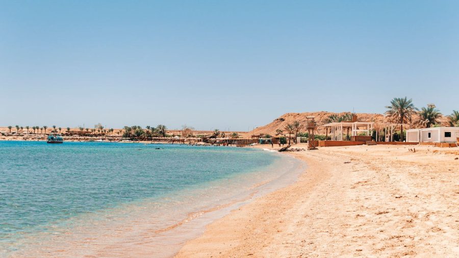 SSH Sharks Bay Beach 1324192434 getty 1280x1280