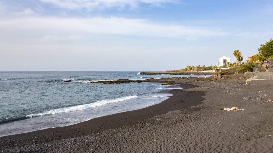 Tfs Playa Jardin 0117 01