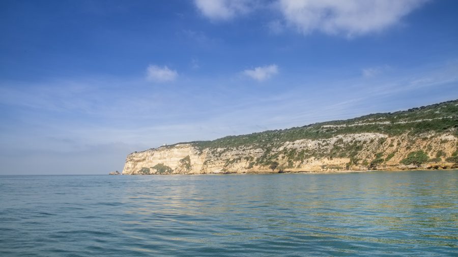 Parque natural brena y marismas del barbate2