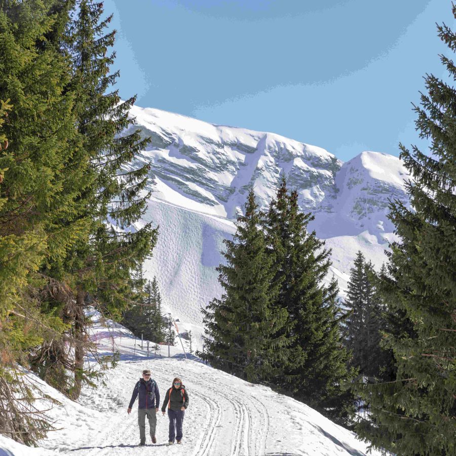 Ski Shoot 2019 122 fpo