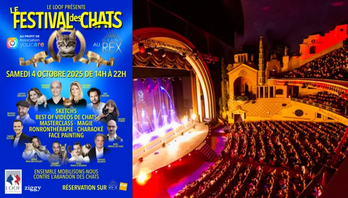 Le Festival des chats (Le Grand Rex)  😍 😻
