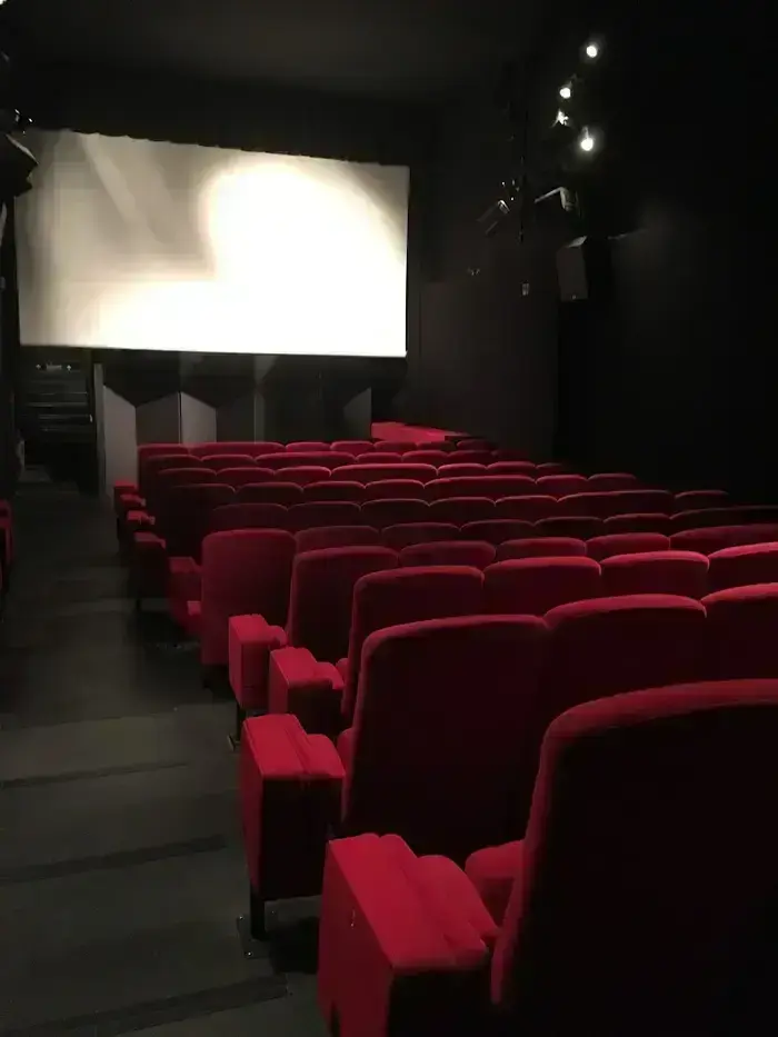Image 4