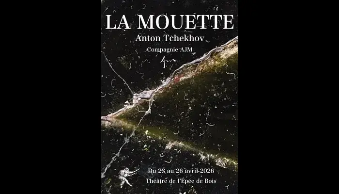 LA MOUETTE (Théâtre de l'Épée de Bois)