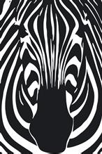Zebra Products