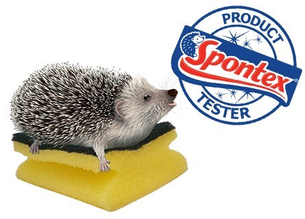 Spontex