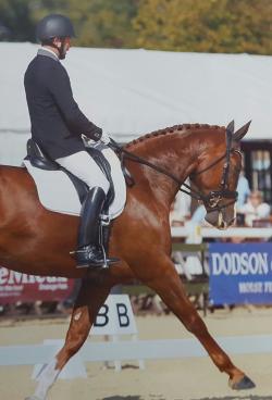 Clever Clogs Cycling Shooting & Showjumping (Clever Clogs: the Olympic Sports)