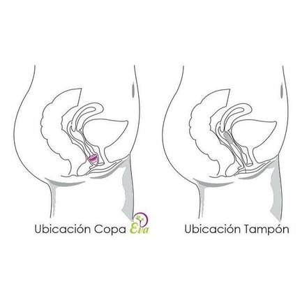 copa vs. tampon copa vs. tampon