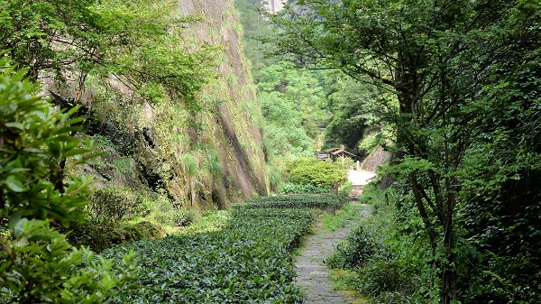 Wuyishan Wuyishan