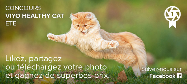 Concours viyo healthy cat