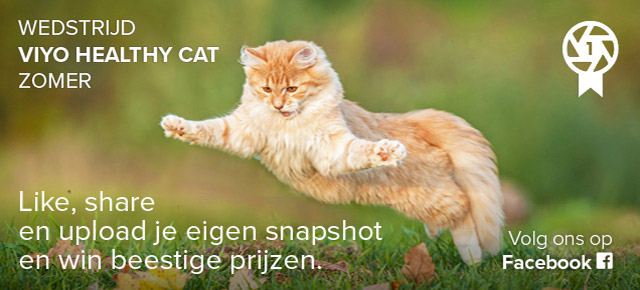 Wedstrijd viyo healthy cat