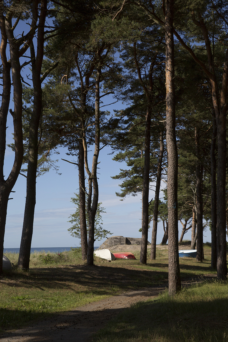 Att göra i Ystad
