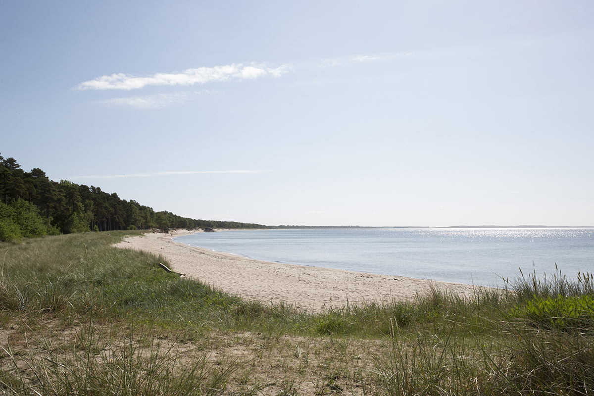 Att göra i Ystad