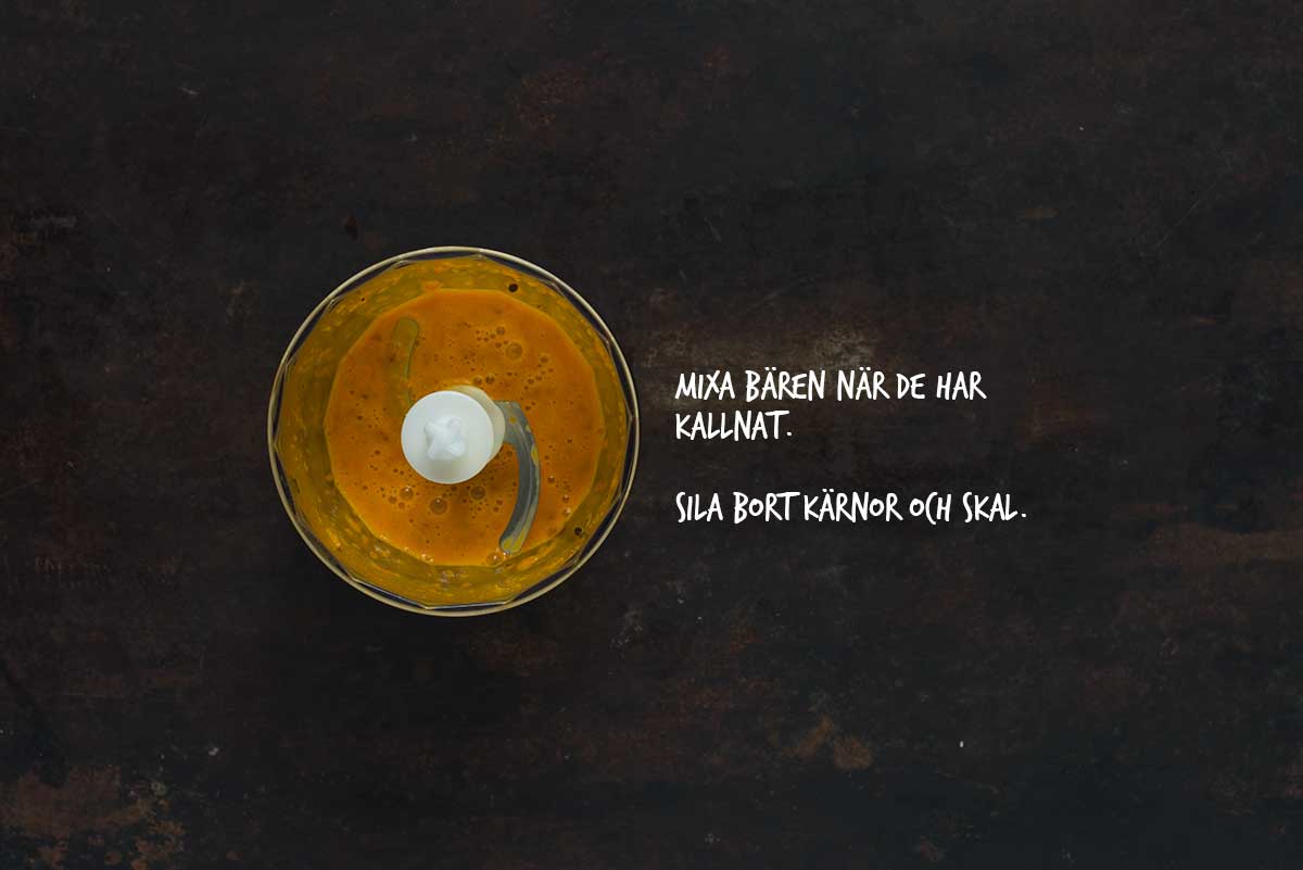Recept: Drink med havtorn | Frk. Kräsen