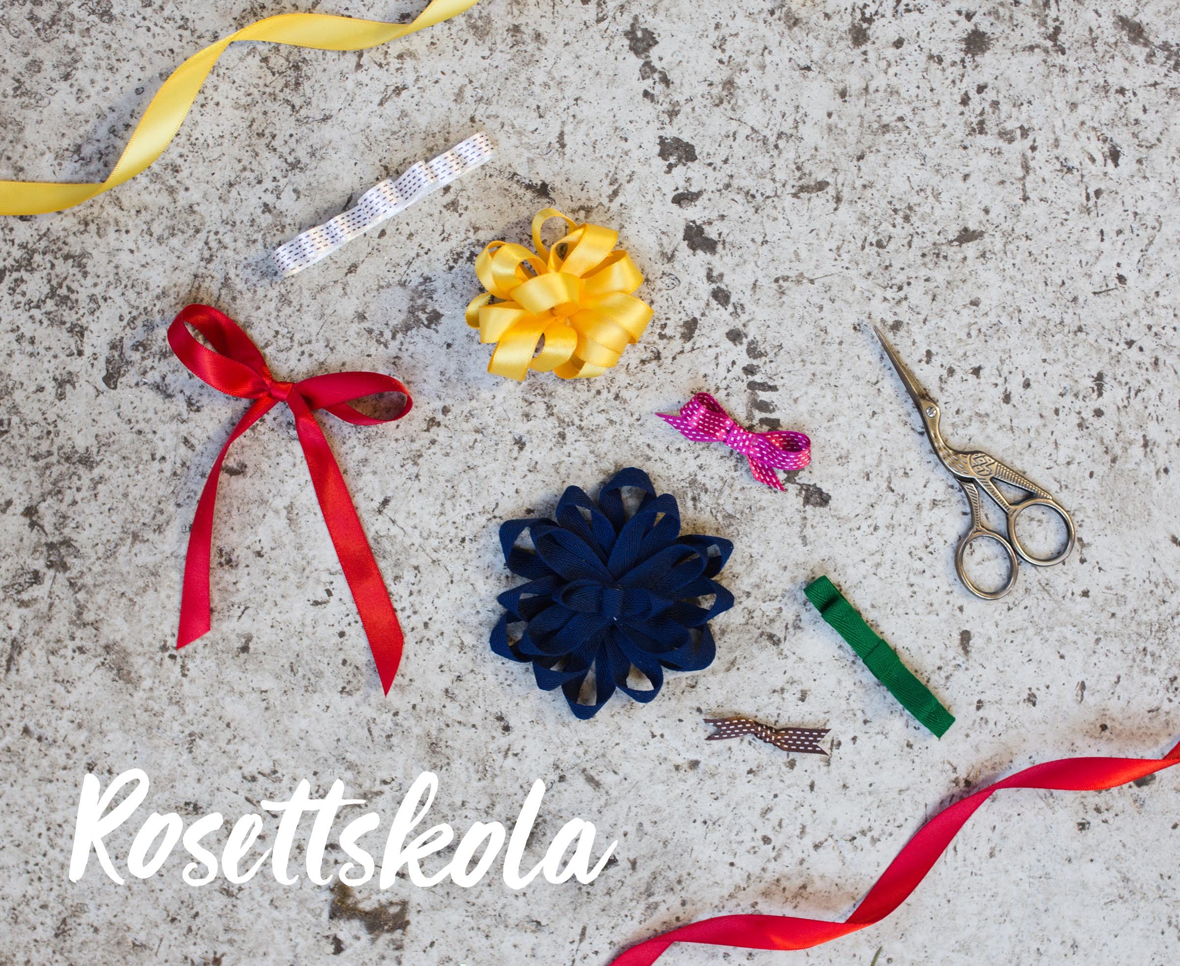 Rosettskola - Anna María