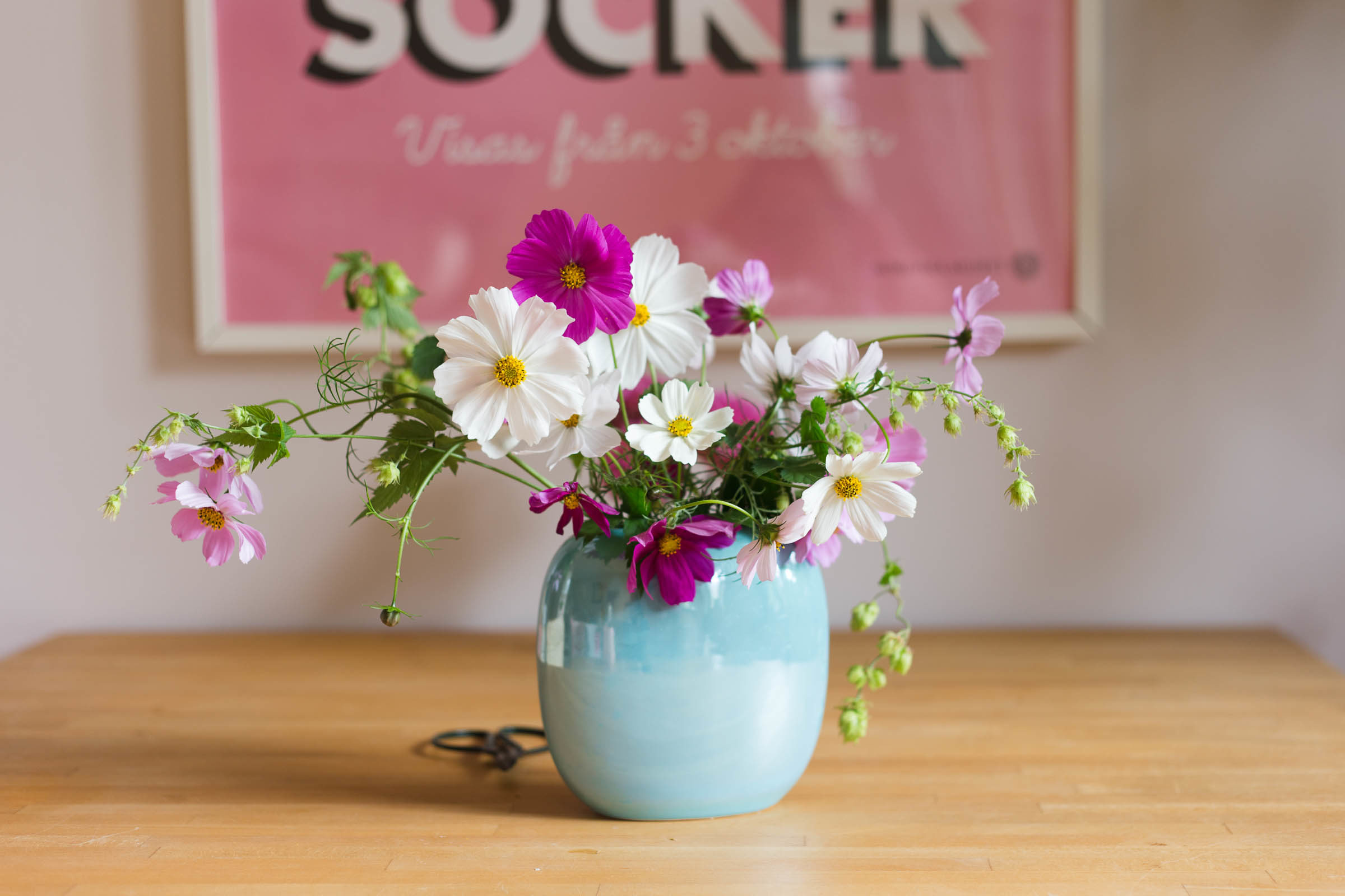 Rosenskära