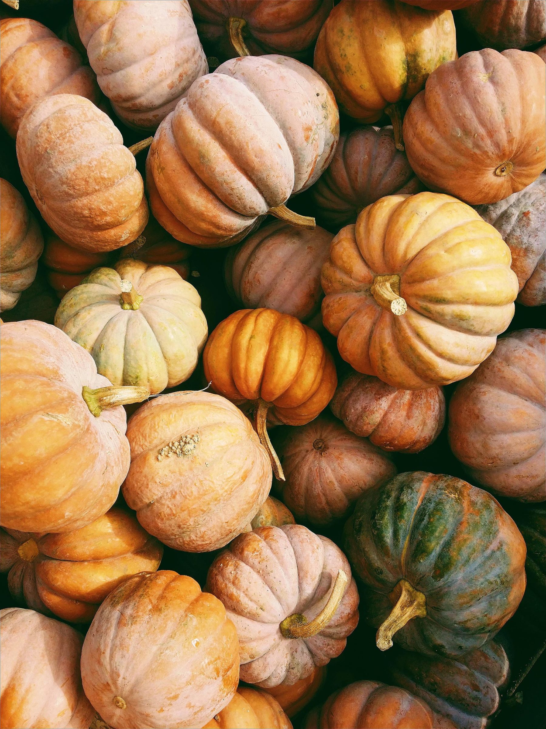 Pumpor