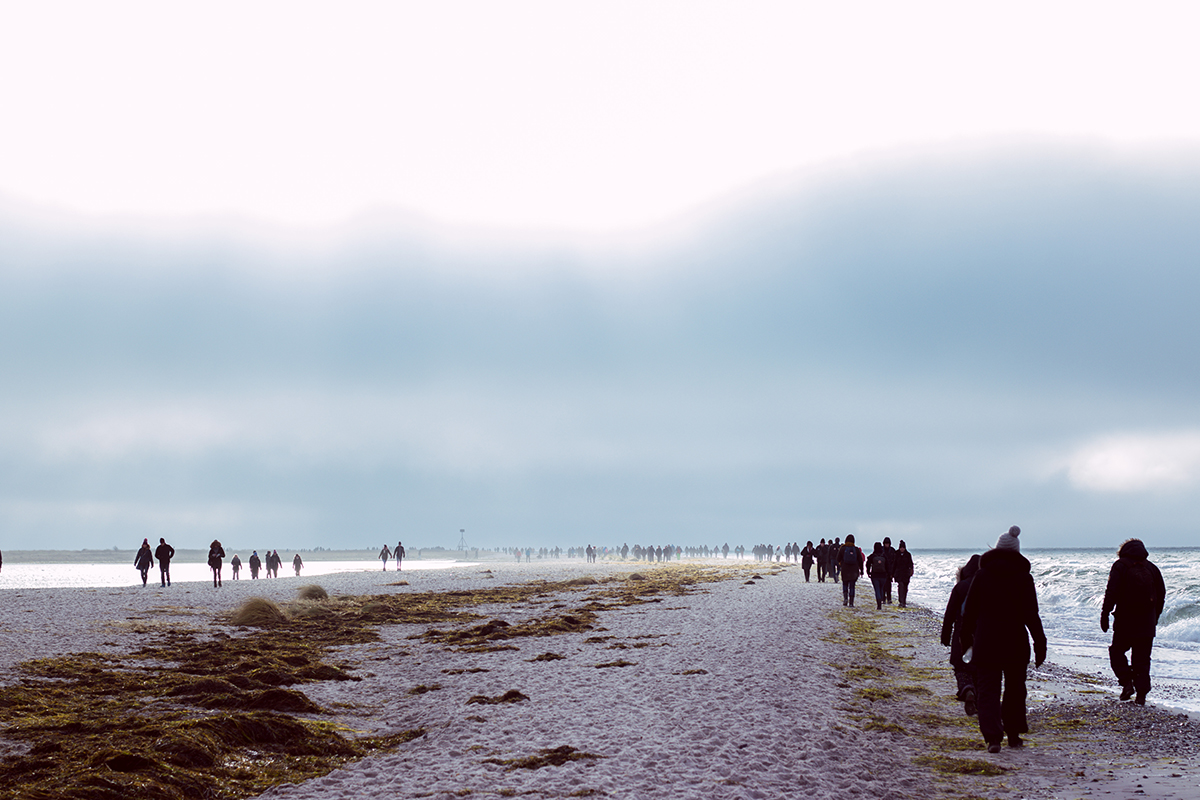 Måkläppen naturreservat i Falsterbo