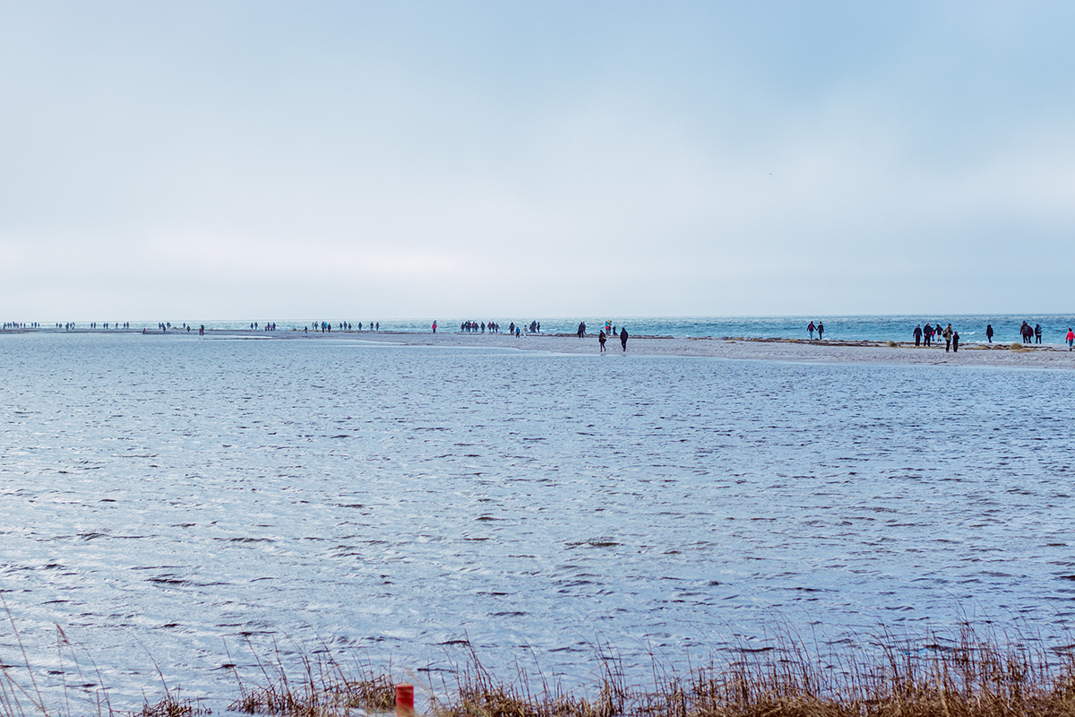 Måkläppen naturreservat i Falsterbo