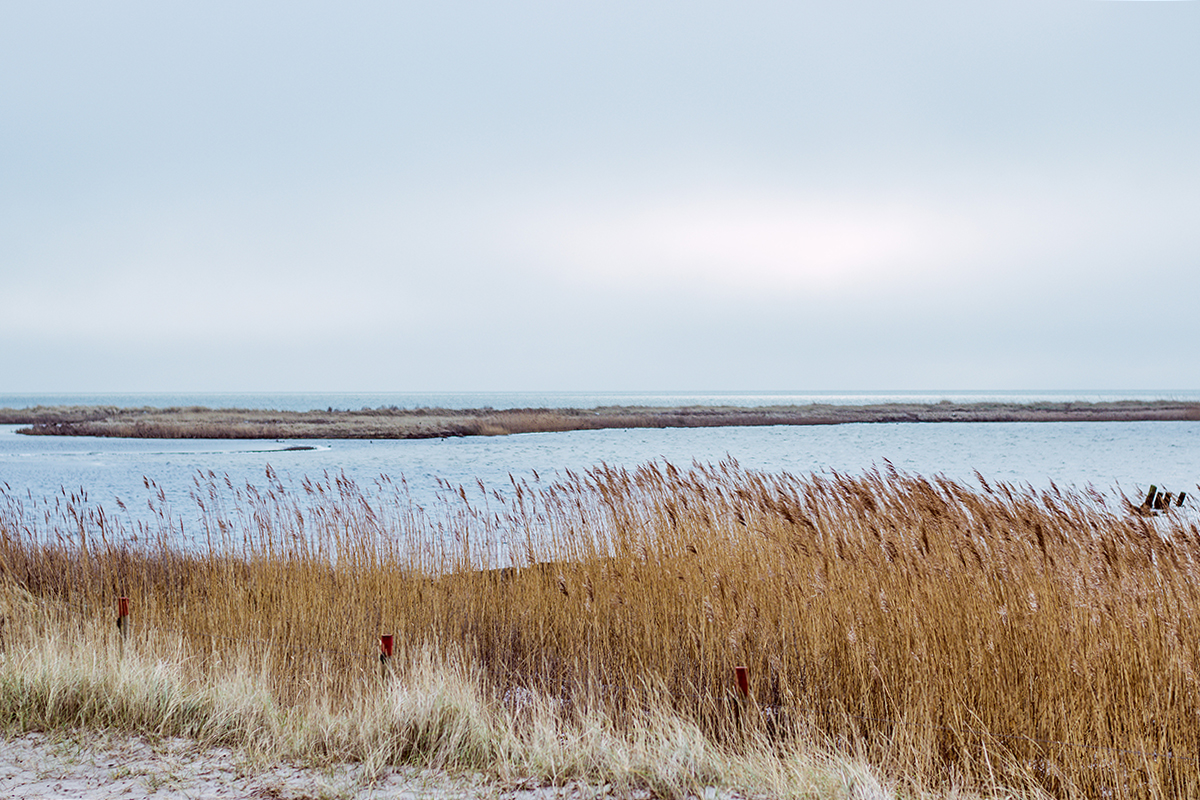 Måkläppen naturreservat i Falsterbo