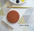 Blank Paintable Wooden Coasters - Small - Various Timbers