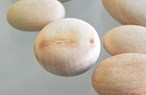 Imperfect Wooden Pebbles - Various Sizes