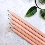 Natural Wood Pencil with Eraser - 18cm