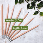 Natural Wood Pencil with Eraser - 18cm