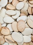 Imperfect Wooden Pebbles - Various Sizes
