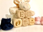 Wooden Baby Blocks - Personalised