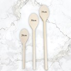 Personalised Karaoke Singing Microphone Wooden Spoon – Engraved Gift
