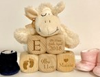 Wooden Baby Blocks - Personalised