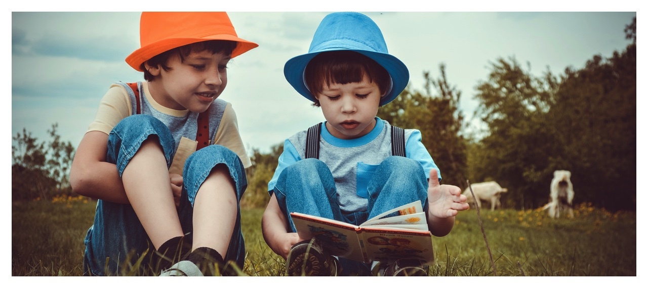 Brothers Reading