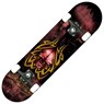 B Series Tribal Skull Complete Skateboard
