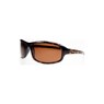 Morgana Tortoise 80604 Sunglasses