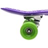 Torpedo PP Cruiser - Purple/Green