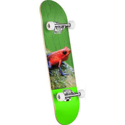 Poison Tree Frog #243 Birch 8.25inch Complete Skateboard - Multi