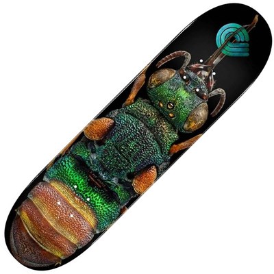 Peralta LB Ruby Tailed Wasp #244 8.5inch Skateboard Deck