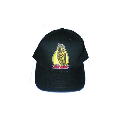 Hawk Pterodactyl flexfit cap