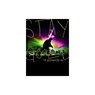 Stay Gold DVD