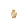 Plexi Polished Gold /Gold/Gold Mirror Men's Watch PLE024