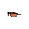 Morgana Tortoise 80604 Sunglasses